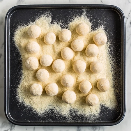 Gnudi
