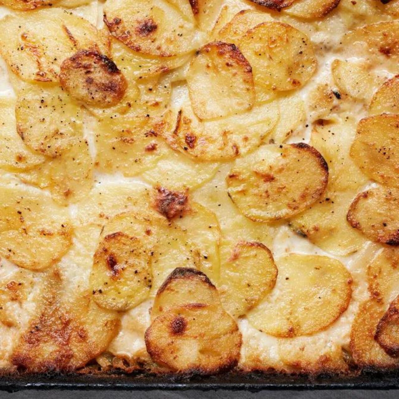 gratin de pommes de terre