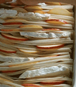 filo pommes camembert
