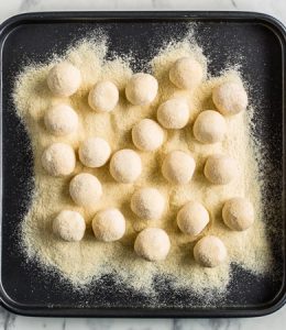 Gnudi