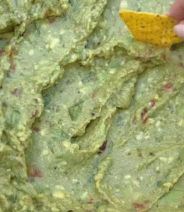 guacamole Alain Ducasse
