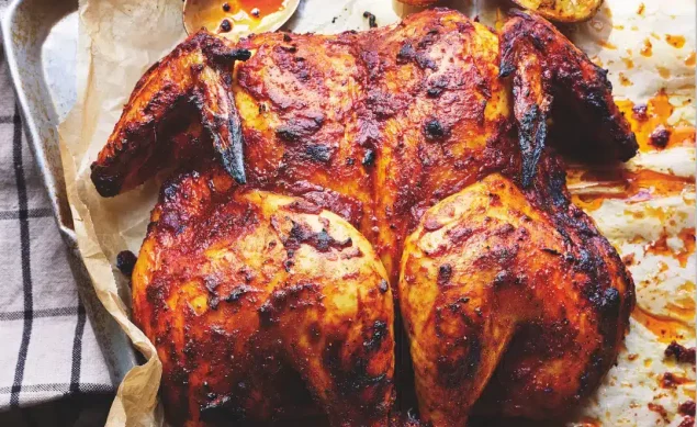 Poulet Bloody Mary à la sauce tomate provençale