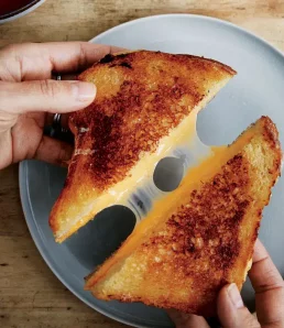 Grilled cheese sandwich